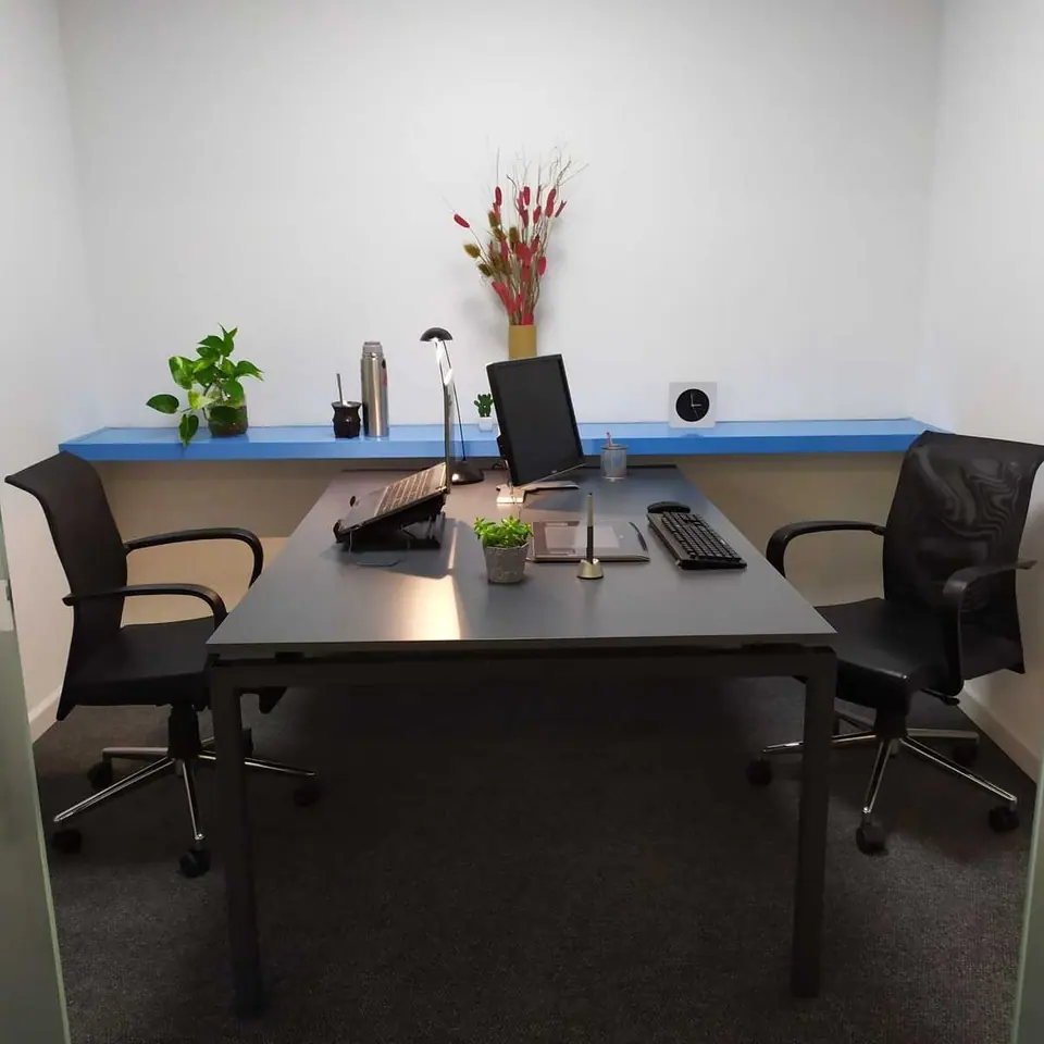 Oficina privada con escritorio, sillas y estante azul con plantas