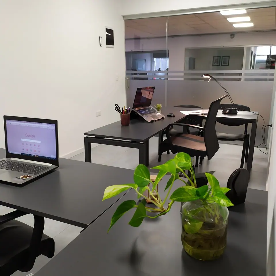 Oficina privada con escritorios, notebook y una planta en primer plano